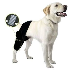 Dog Knee Brace Support - Black XL